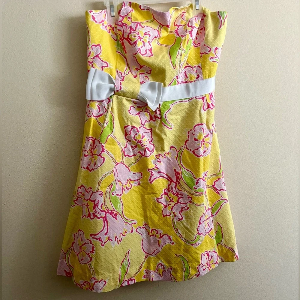 Lilly Pulitzer Amberley Dress - Picture 4 of 13